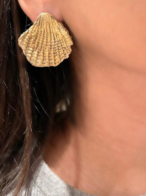 Large Scallop Earrings 14K Yellow gold