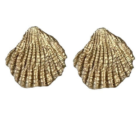 Large Scallop Earrings 14K Yellow gold